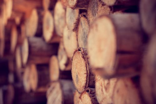 Quels sont les travaux forestiers éligibles au crédit d'impôt, Rouen, 76000