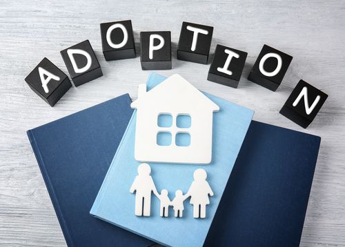 Quels sont les différents types d'adoption, Rouen, 76000