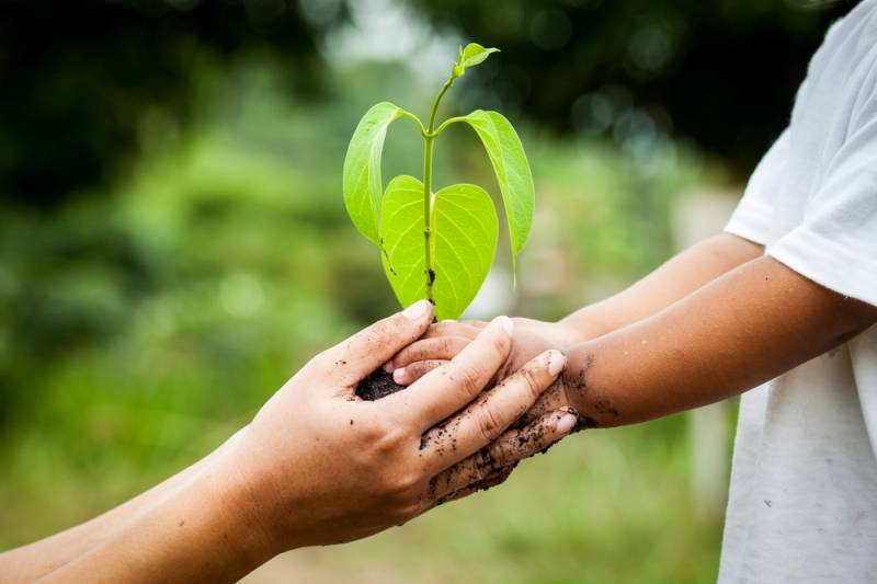 Comment fonctionne les bons anonymes, Vire, 14500